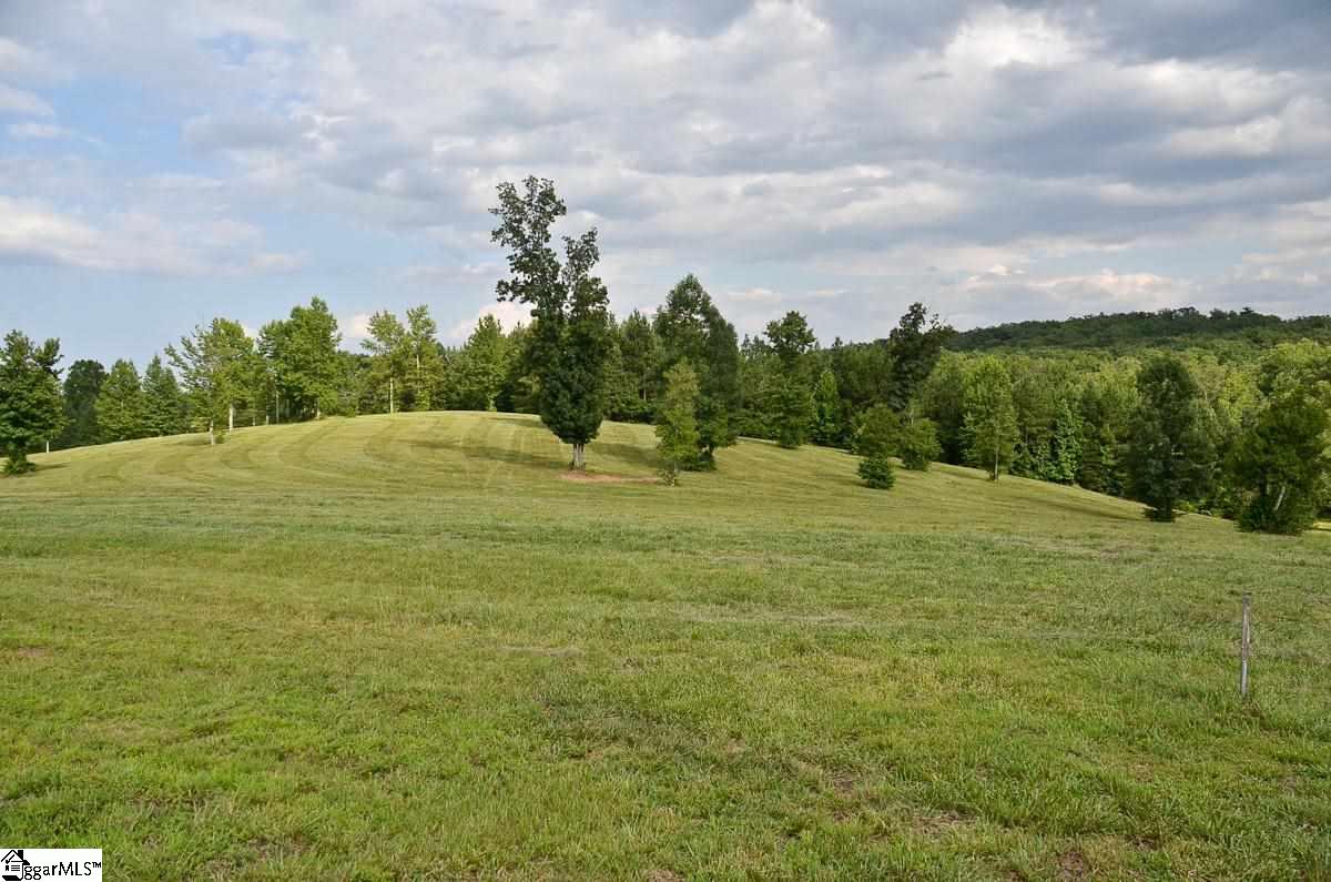 4651 Howe Road, Unit LOT DE Landrum, SC 29356 - Photo 28 of 35