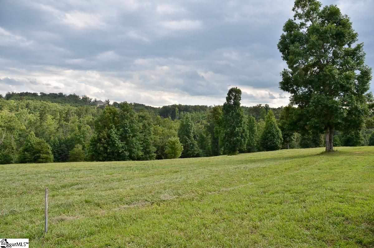 4651 Howe Road, Unit LOT DE Landrum, SC 29356 - Photo 29 of 35