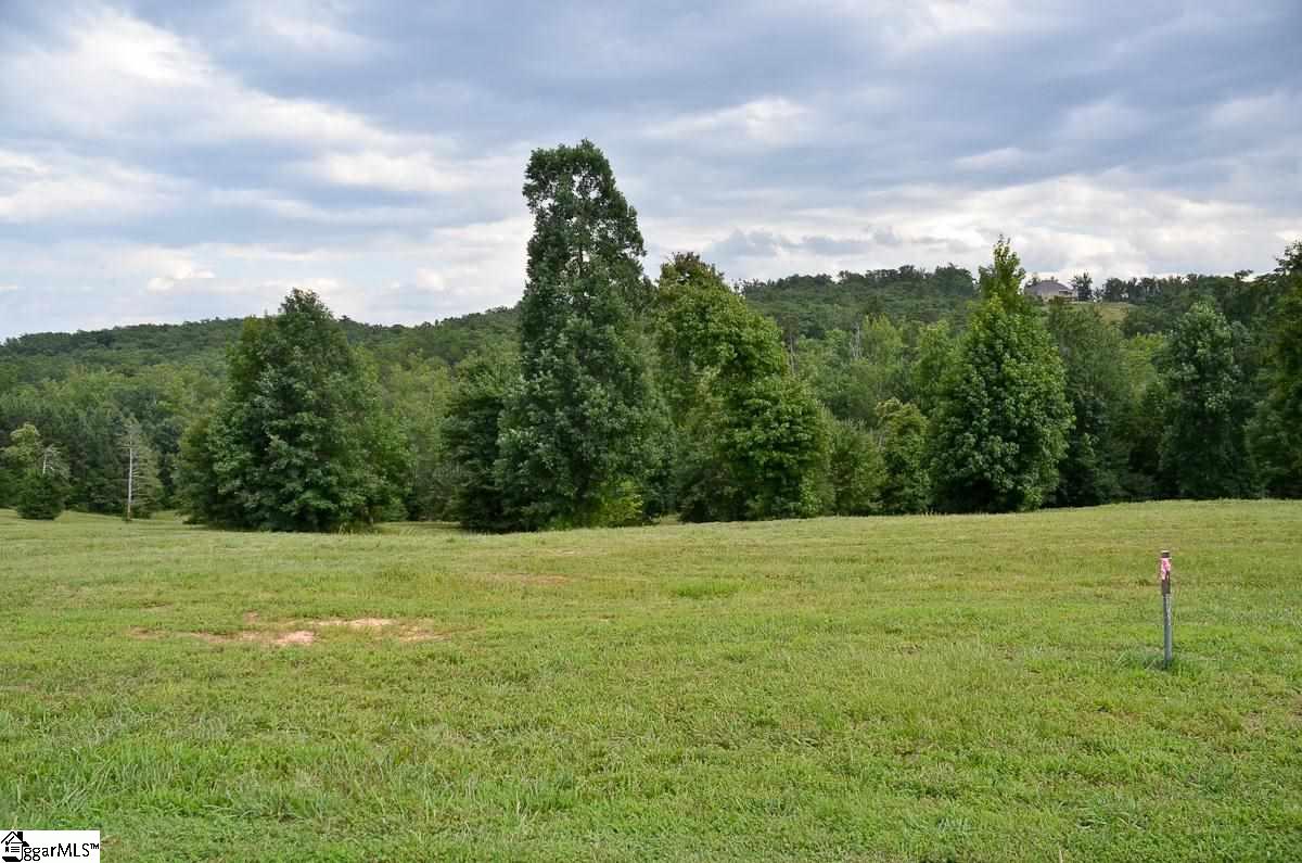 4651 Howe Road, Unit LOT DE Landrum, SC 29356 - Photo 31 of 35