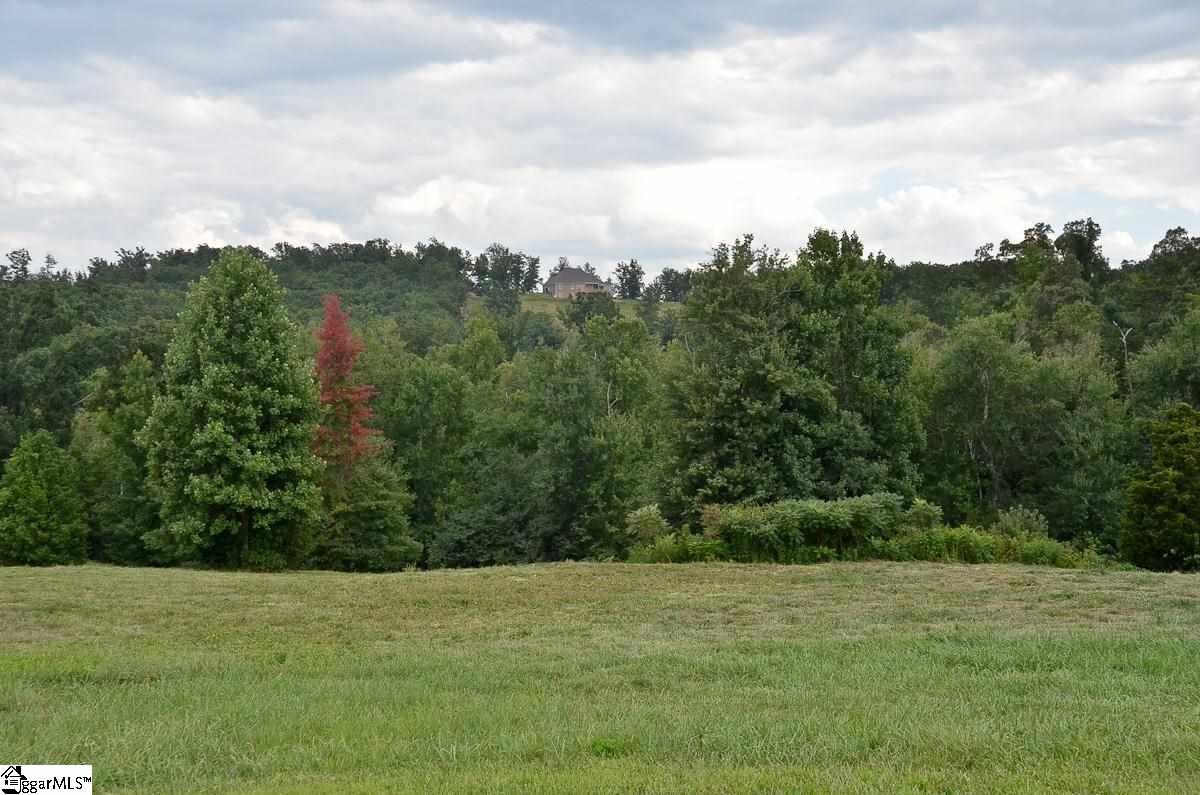 4651 Howe Road, Unit LOT DE Landrum, SC 29356 - Photo 5 of 35