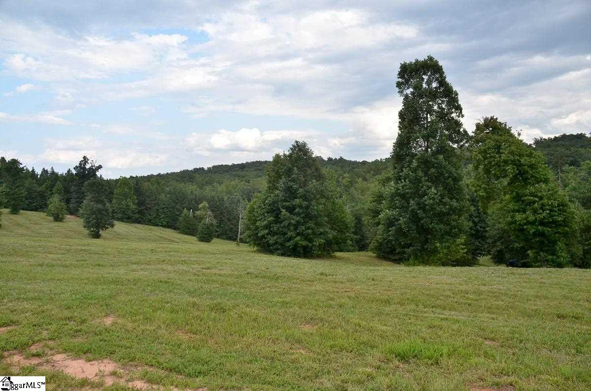4651 Howe Road, Unit LOT DE Landrum, SC 29356 - Photo 7 of 35