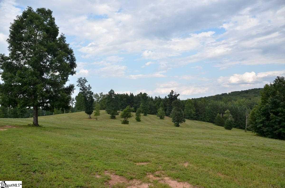 4651 Howe Road, Unit LOT DE Landrum, SC 29356 - Photo 8 of 35