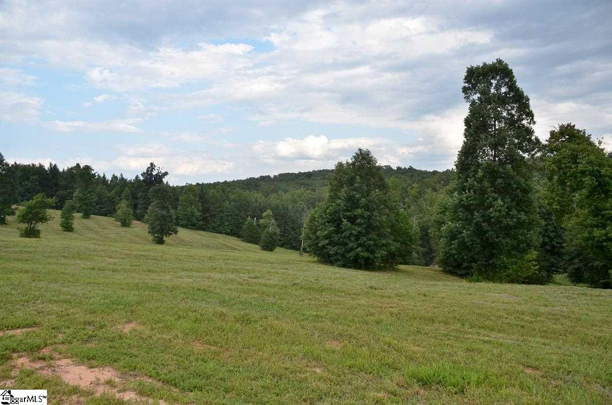4651 Howe Road, Unit LOT DE Landrum, SC 29356 - Photo 9 of 35