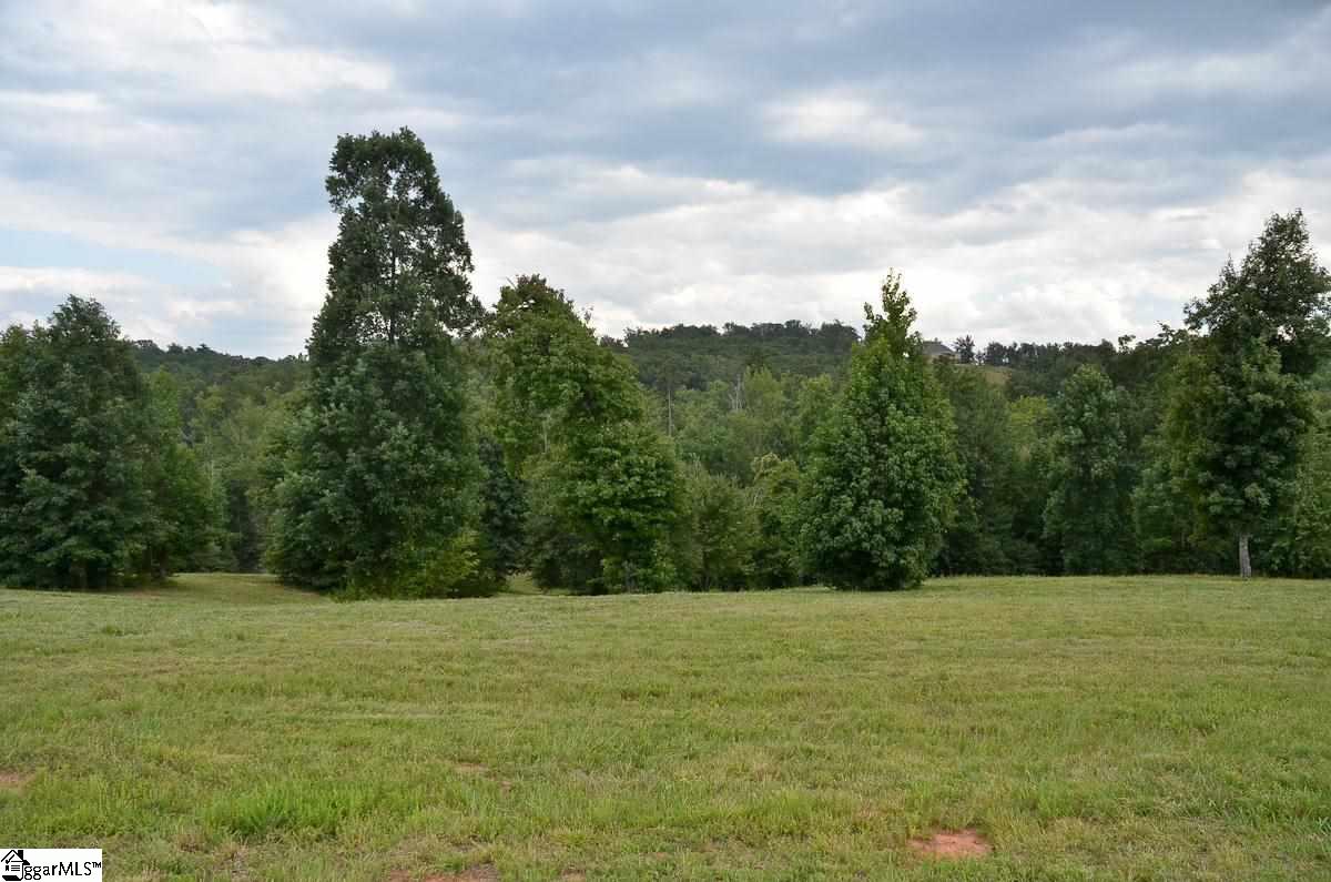 4651 Howe Road, Unit LOT DE Landrum, SC 29356 - Photo 10 of 35