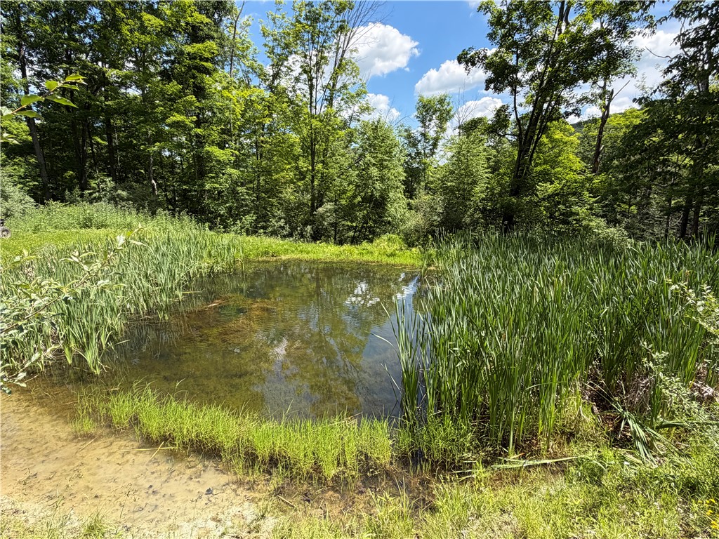 Vl Catatunk Road, Unit R Canisteo, NY 14823 - Photo 2 of 50