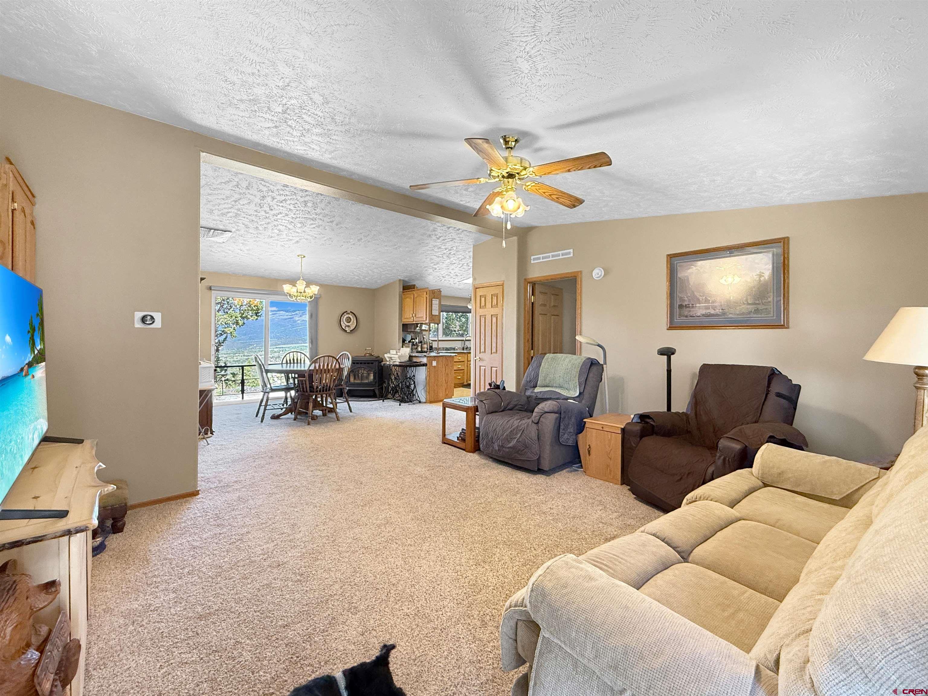 18311 2550th Road Cedaredge, CO 81413 - Photo 12 of 29 a living room with furniture a chandelier and a flat screen tv