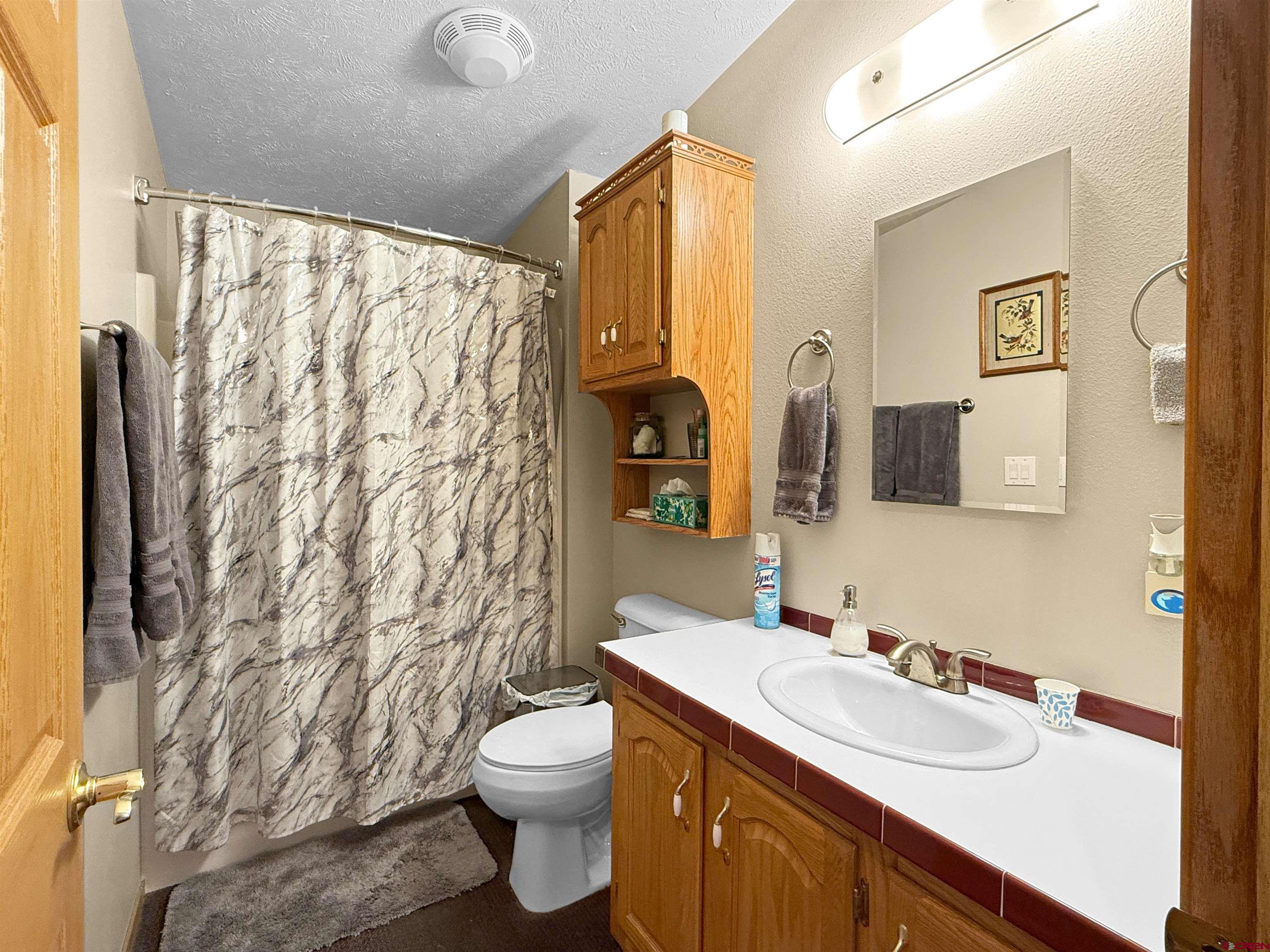 18311 2550th Road Cedaredge, CO 81413 - Photo 19 of 29 a bathroom with a granite countertop toilet sink and mirror