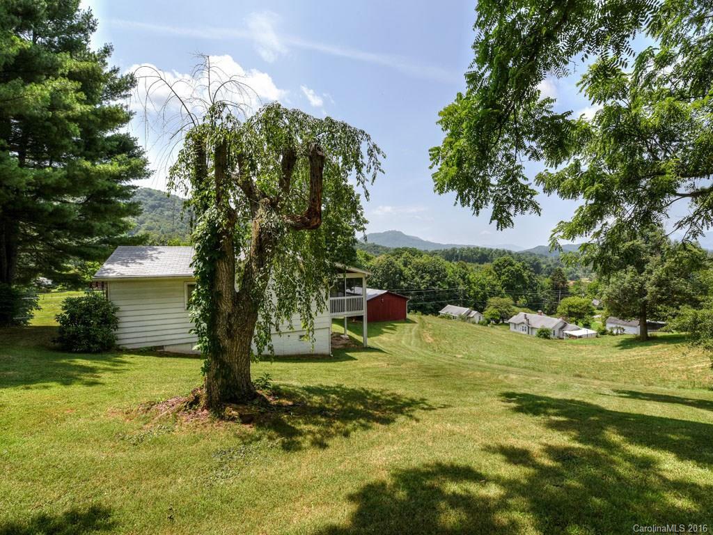 4607 Old Clyde Road Clyde, NC 28721 - Photo 23 of 24 a view of a tree in a yard