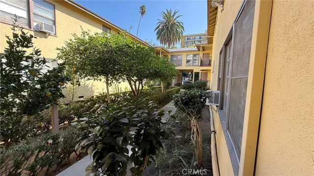 a view of a house with a tree