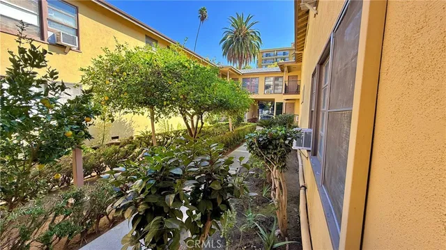 a view of a potted plants next to a building