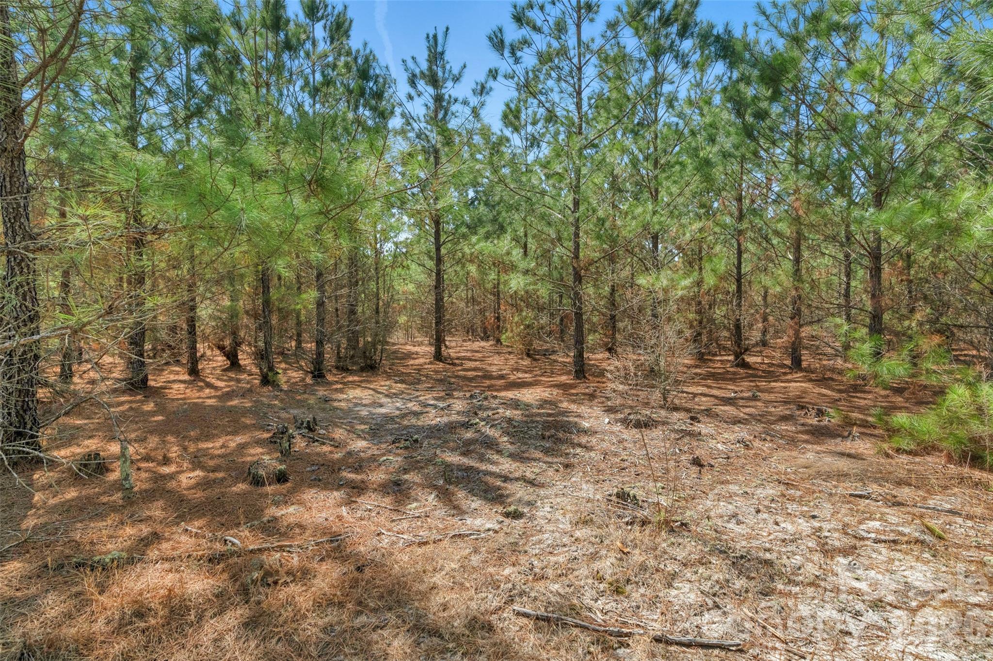 931 Charlie Johnson Road, Unit 7 Kershaw, SC 29067 - Photo 19 of 34