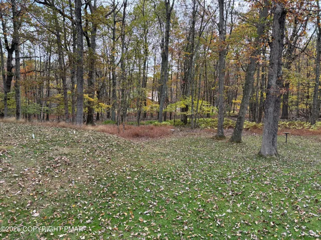 a view of outdoor space with deck and trees