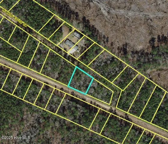 $10,000 | Lot 36 Fontana Lane, Clarkton, NC 28433