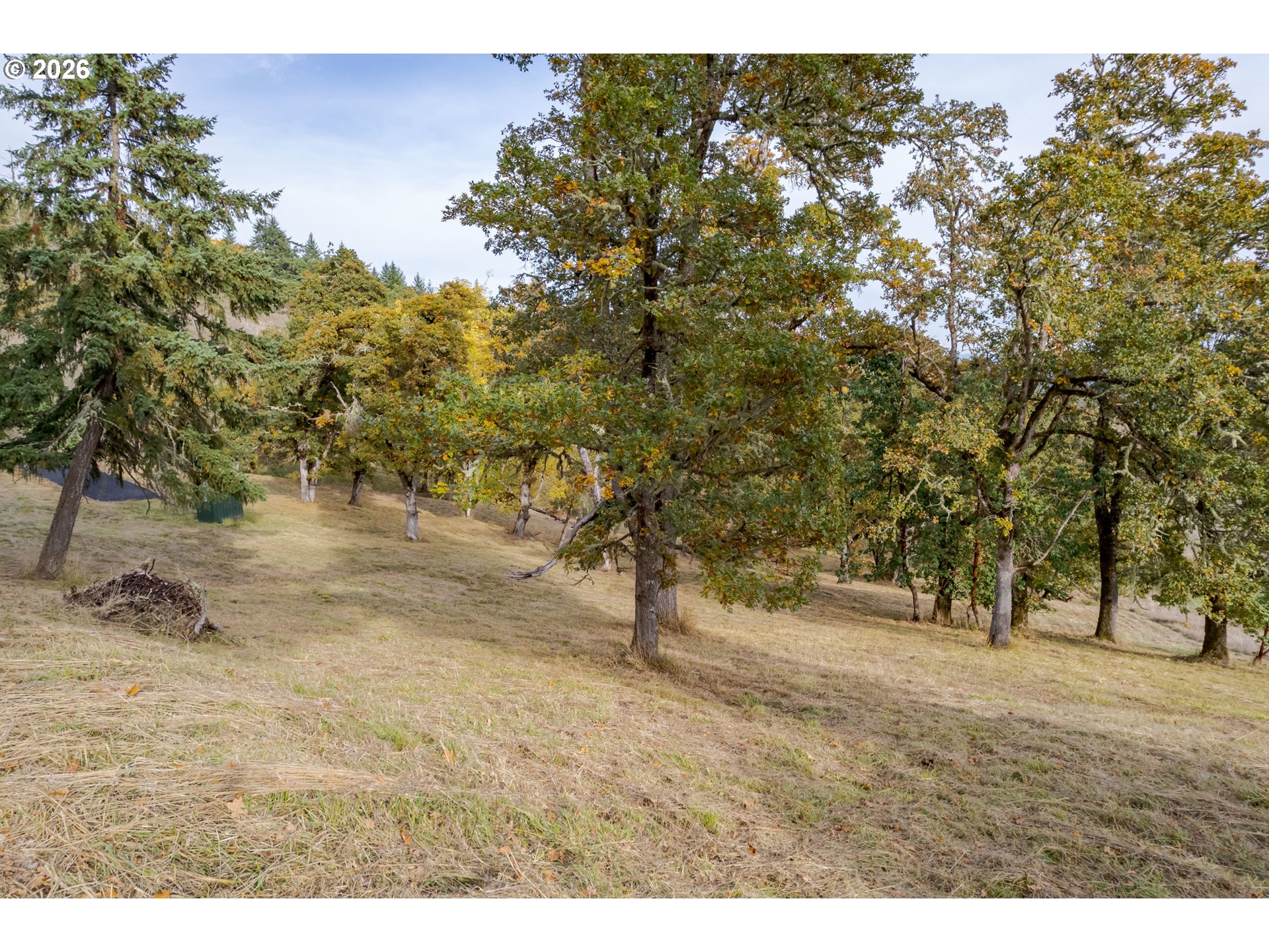 Hidden Meadows Eugene, OR 97405 - Photo 11 of 24