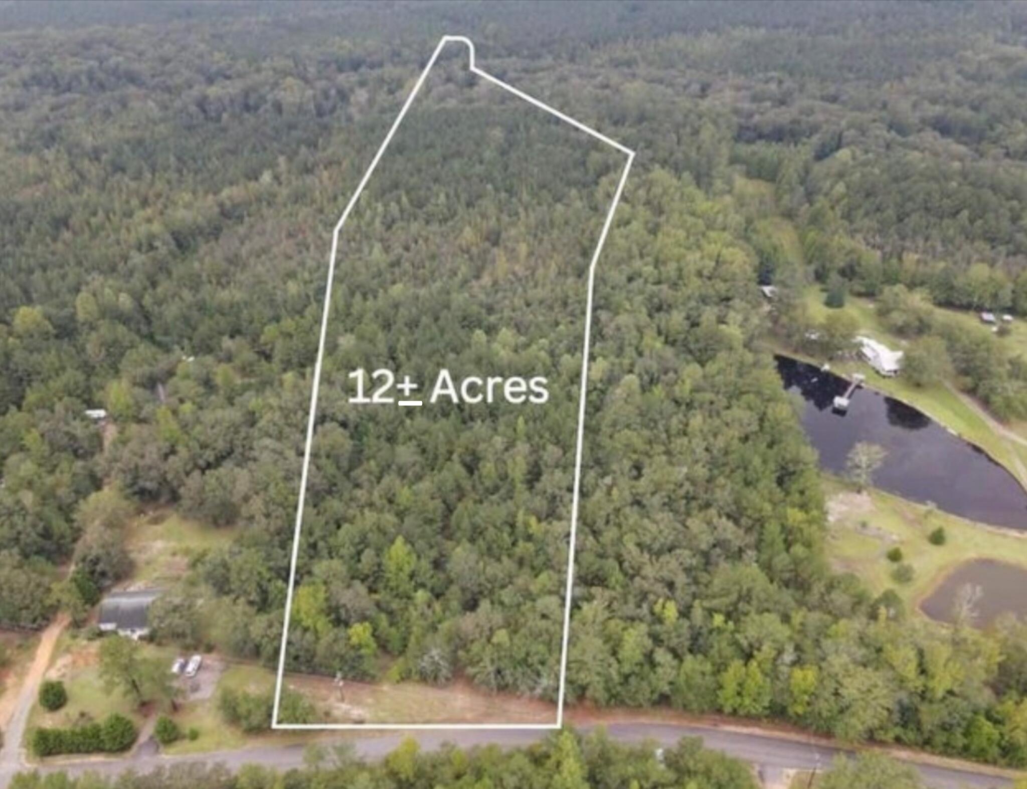 0 Cumbee Trail Road Ridge Spring, SC 29129 - Photo 1 of 5