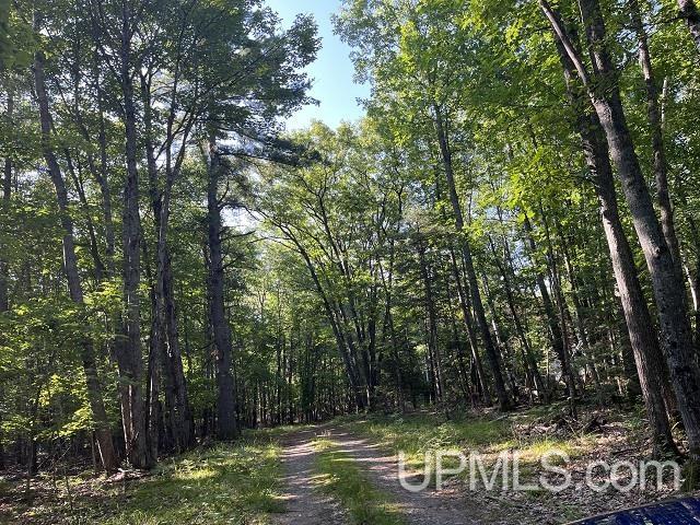 2048 Deer Lake Road Ishpeming, MI 49849 - Photo 40 of 40