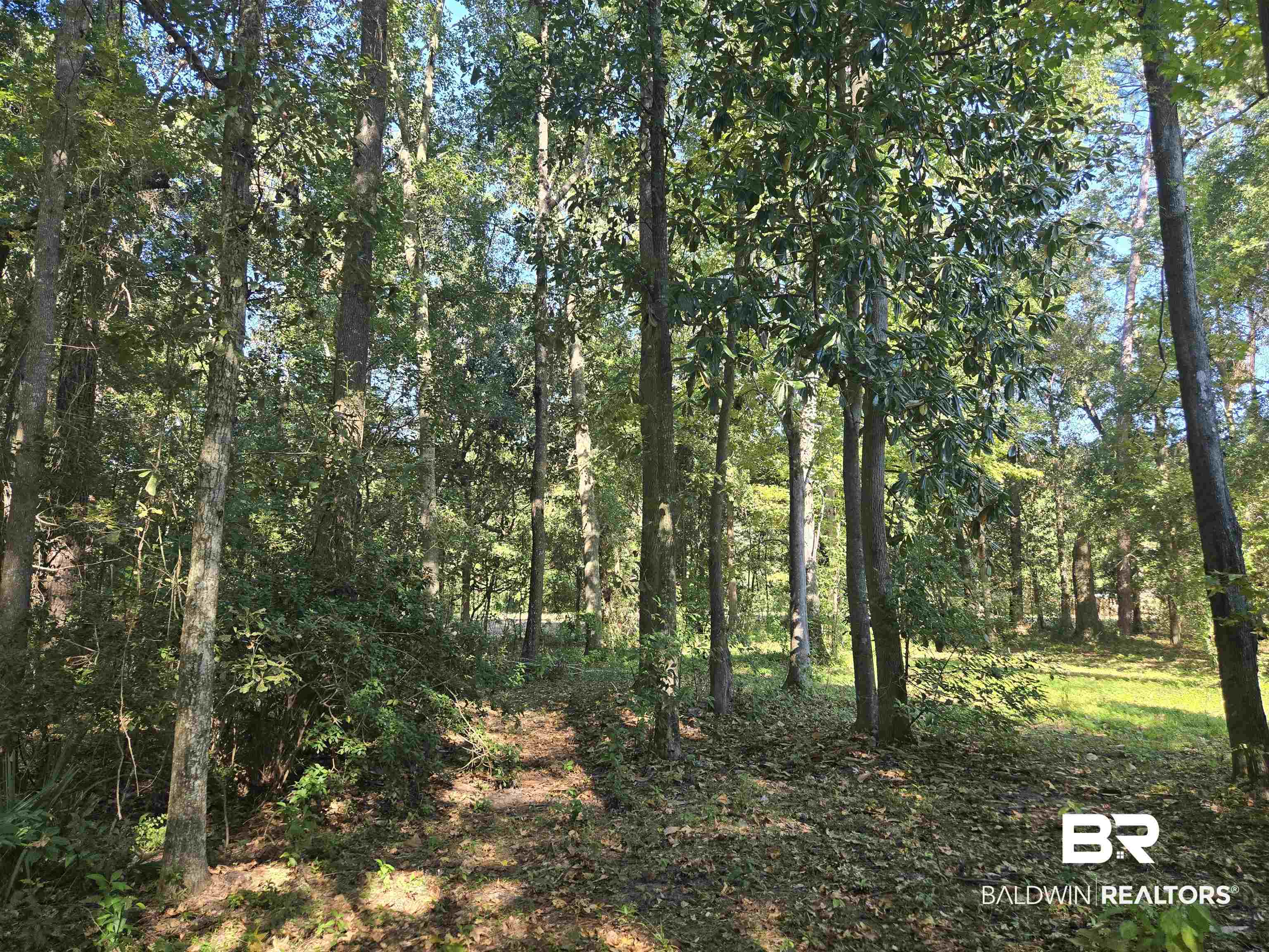 2554 Riverside Drive Mobile, AL 36605 - Photo 33 of 43 View of wooded area