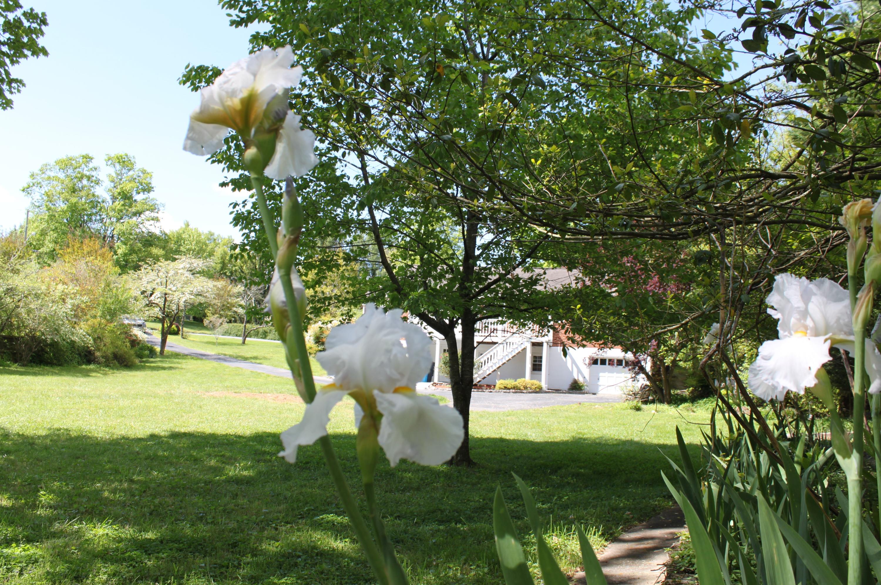 3545 Windsor Road Roanoke, VA 24018 - Photo 11 of 47 Spring at Home