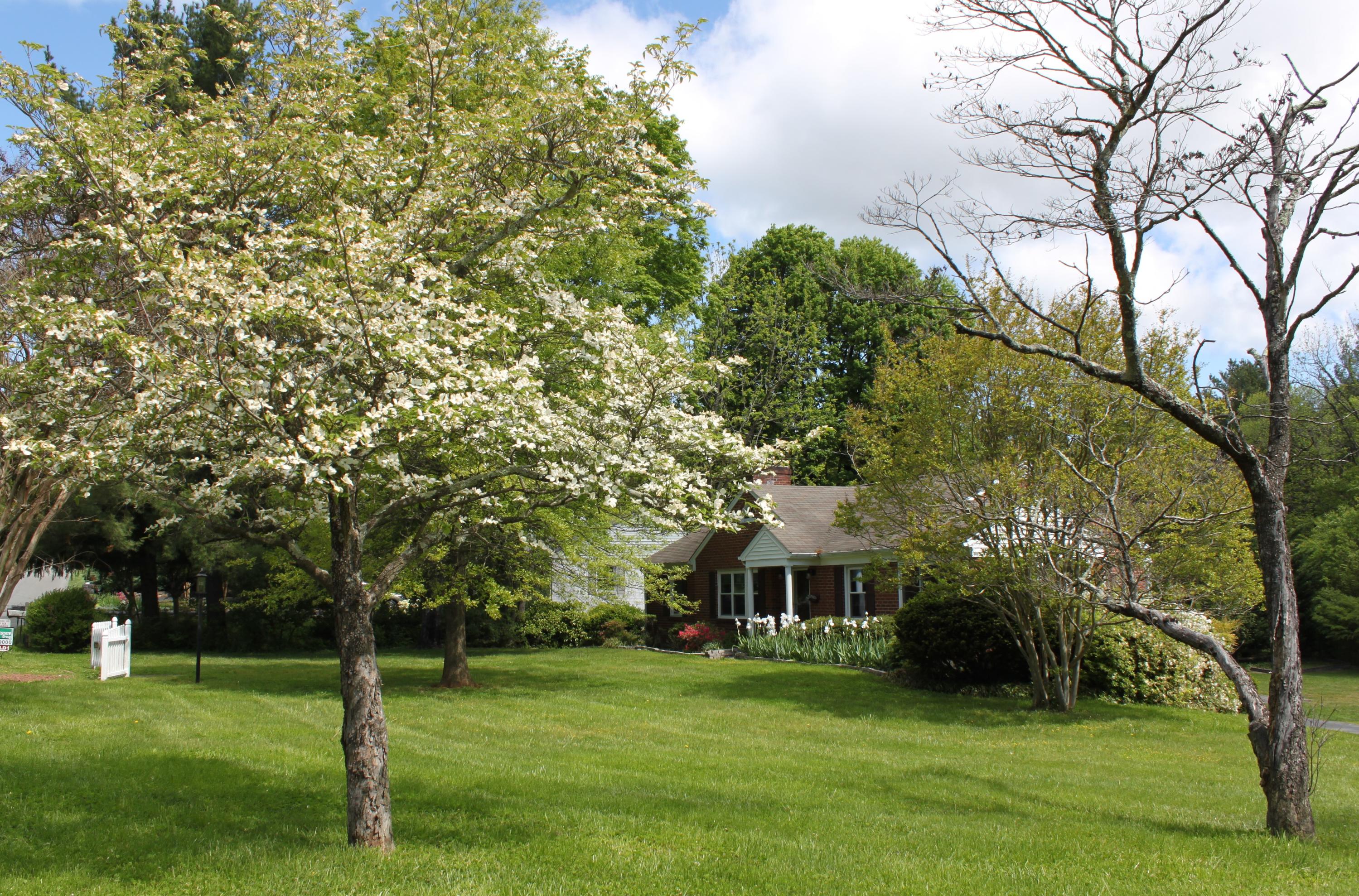 3545 Windsor Road Roanoke, VA 24018 - Photo 4 of 47 Side View 2