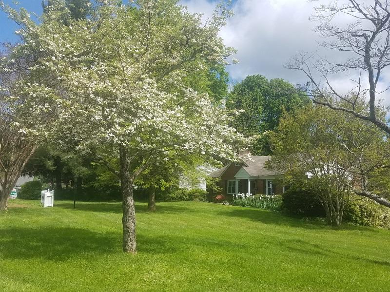 3545 Windsor Road Roanoke, VA 24018 - Photo 7 of 47 Spring Time