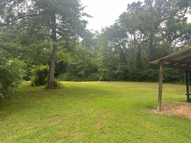 440 Angotti Road Crump, TN 38327 - Photo 24 of 30 View of yard