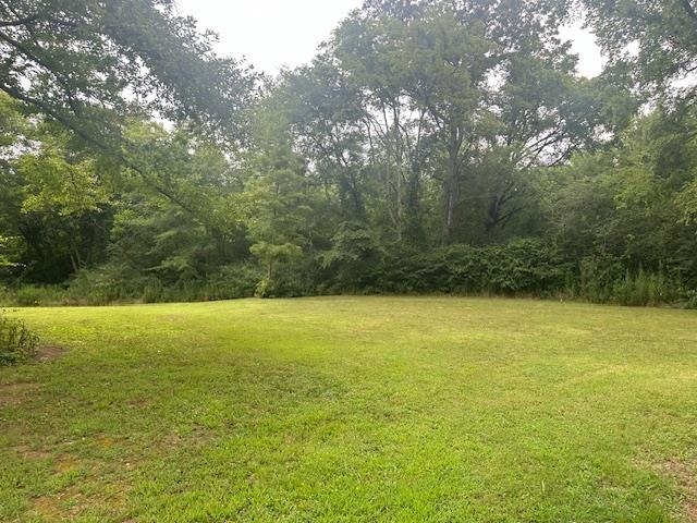 440 Angotti Road Crump, TN 38327 - Photo 25 of 30 View of yard
