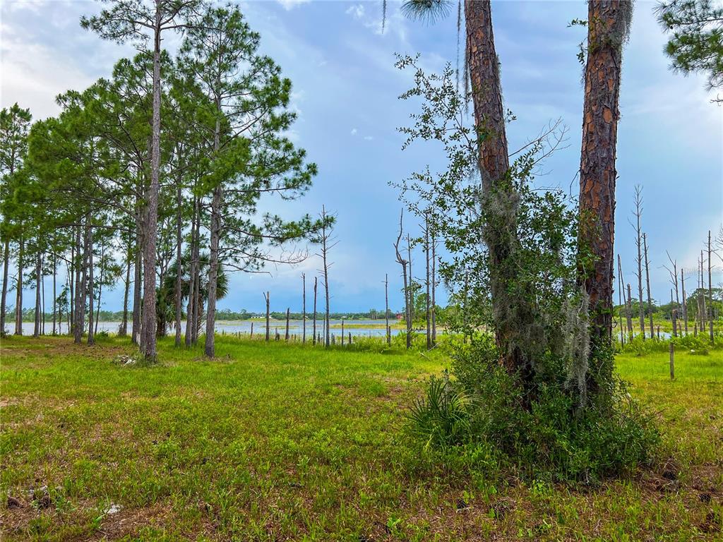 2332 Mitchell Island Road Deltona, FL 32738 - Photo 5 of 18