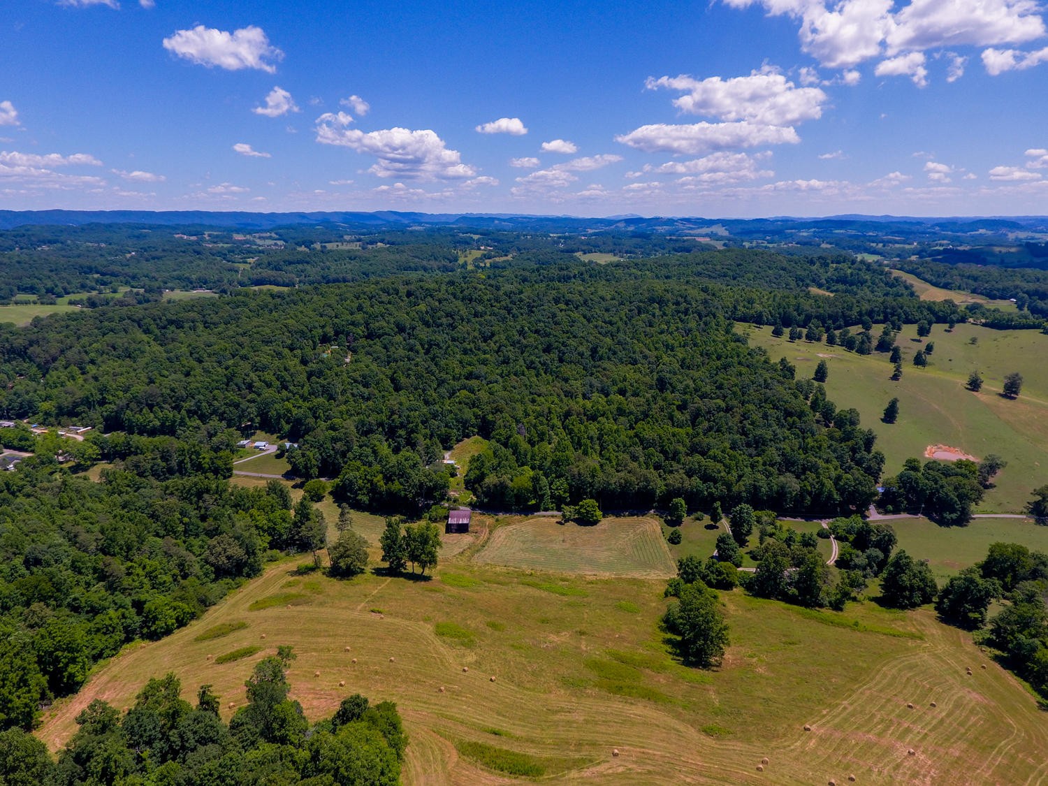 482 Cabbage Road Blaine, TN 37709 - Photo 4 of 40