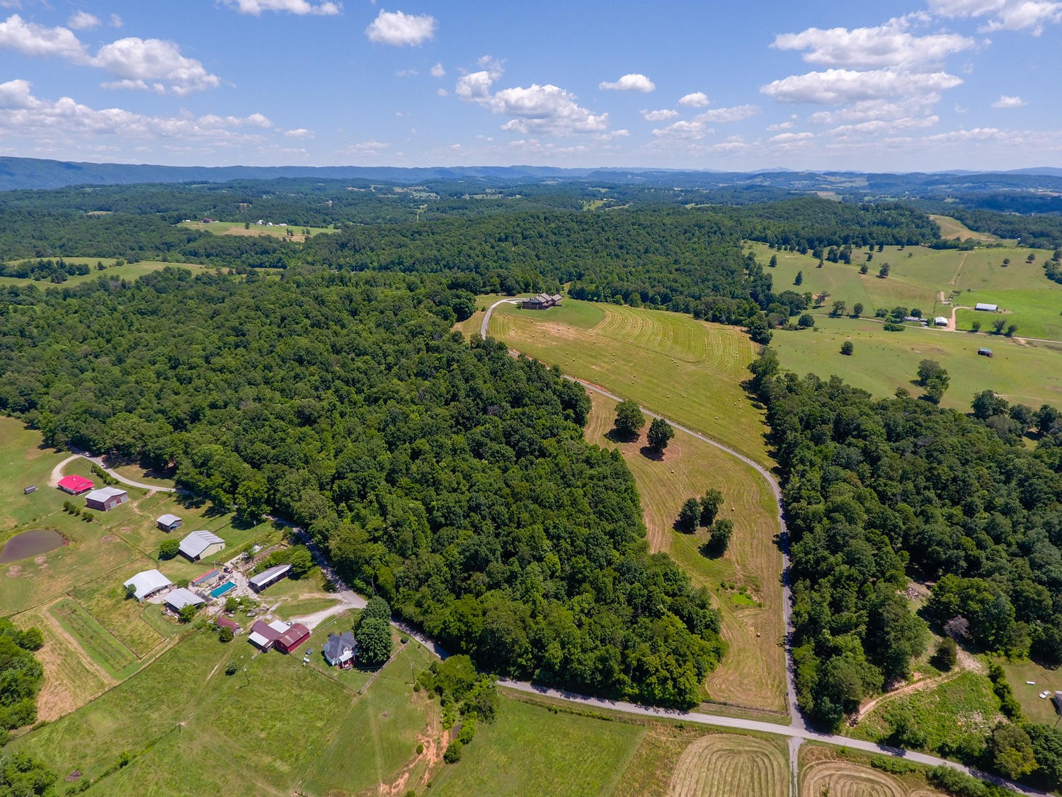 482 Cabbage Road Blaine, TN 37709 - Photo 5 of 40