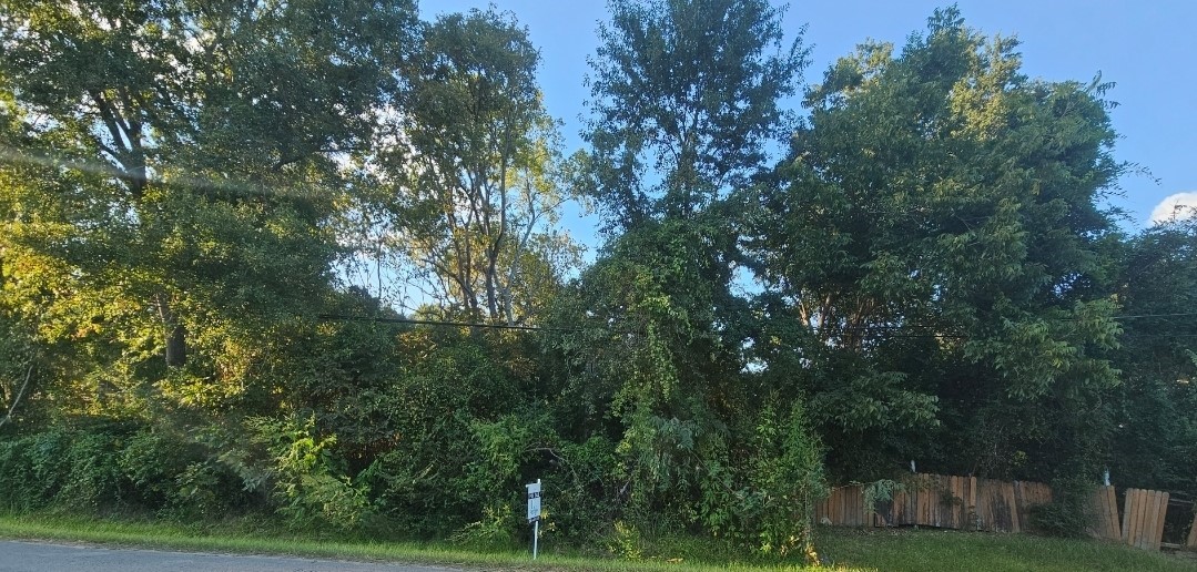 Tbd Avenue F Conroe, TX 77301 - Photo 2 of 4