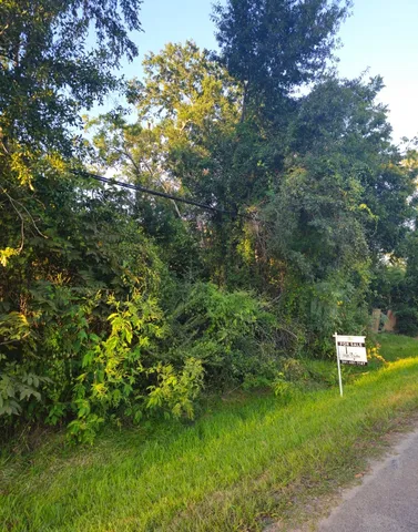 $13,000 | Tbd Avenue F, Conroe, TX 77301