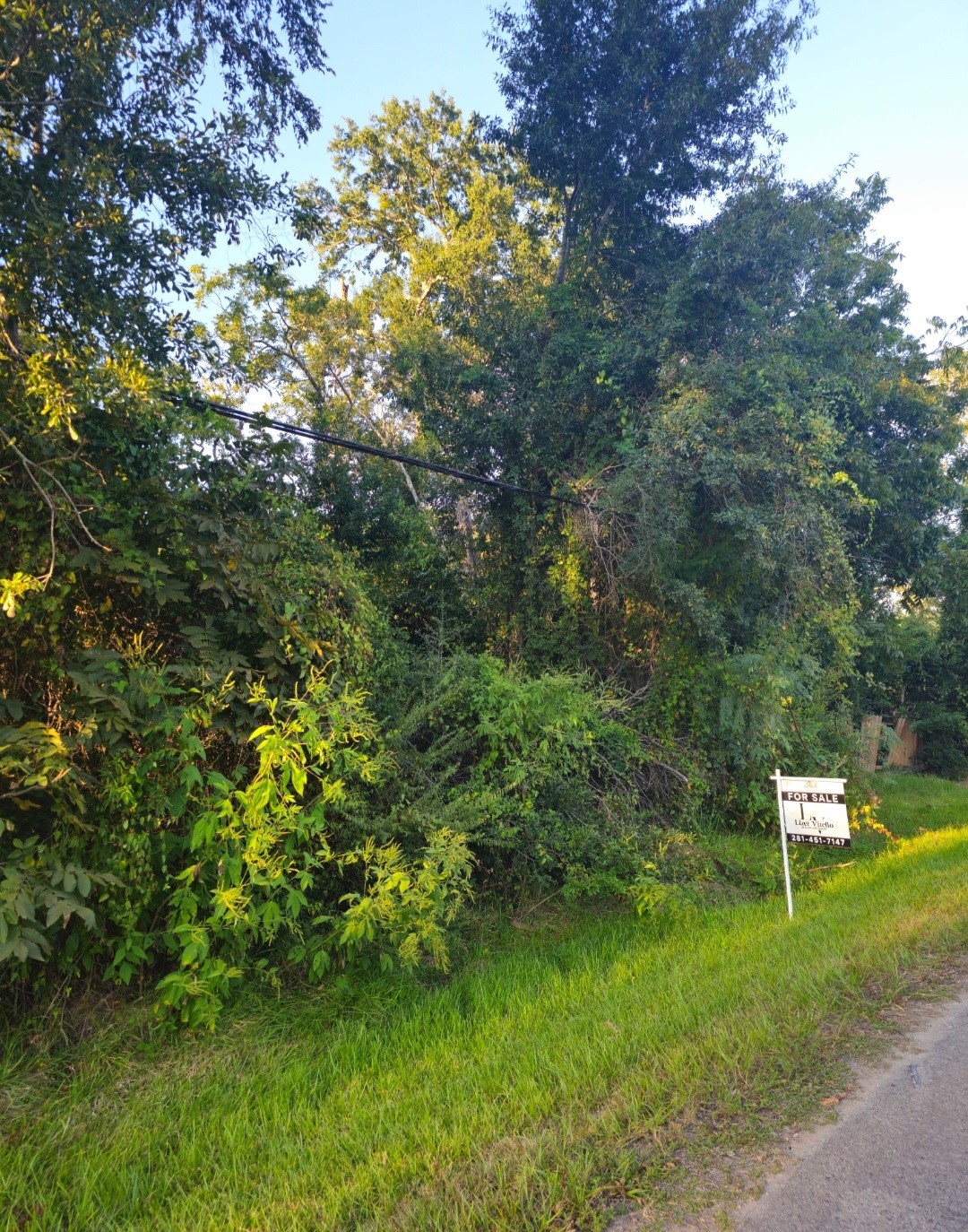 Tbd Avenue F Conroe, TX 77301 - Photo 3 of 4