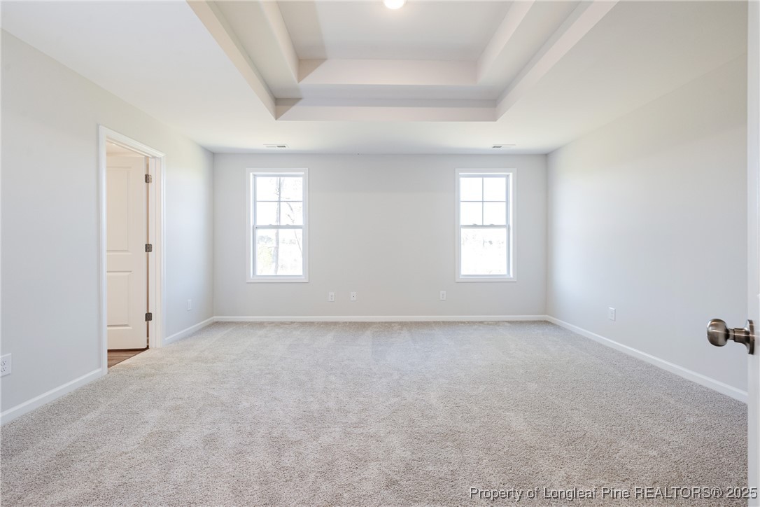 199 Palomo Place Raeford, NC 28376 - Photo 25 of 33 an empty room with windows and closet