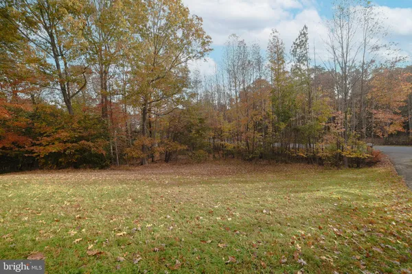 a view of backyard with green space