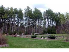 152 Perkins Pond Road Sunapee, NH 03782 - Photo 5 of 5
