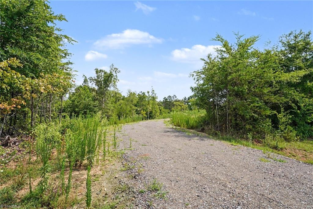 1 Pineville Road Mocksville, NC 27028 - Photo 3 of 20