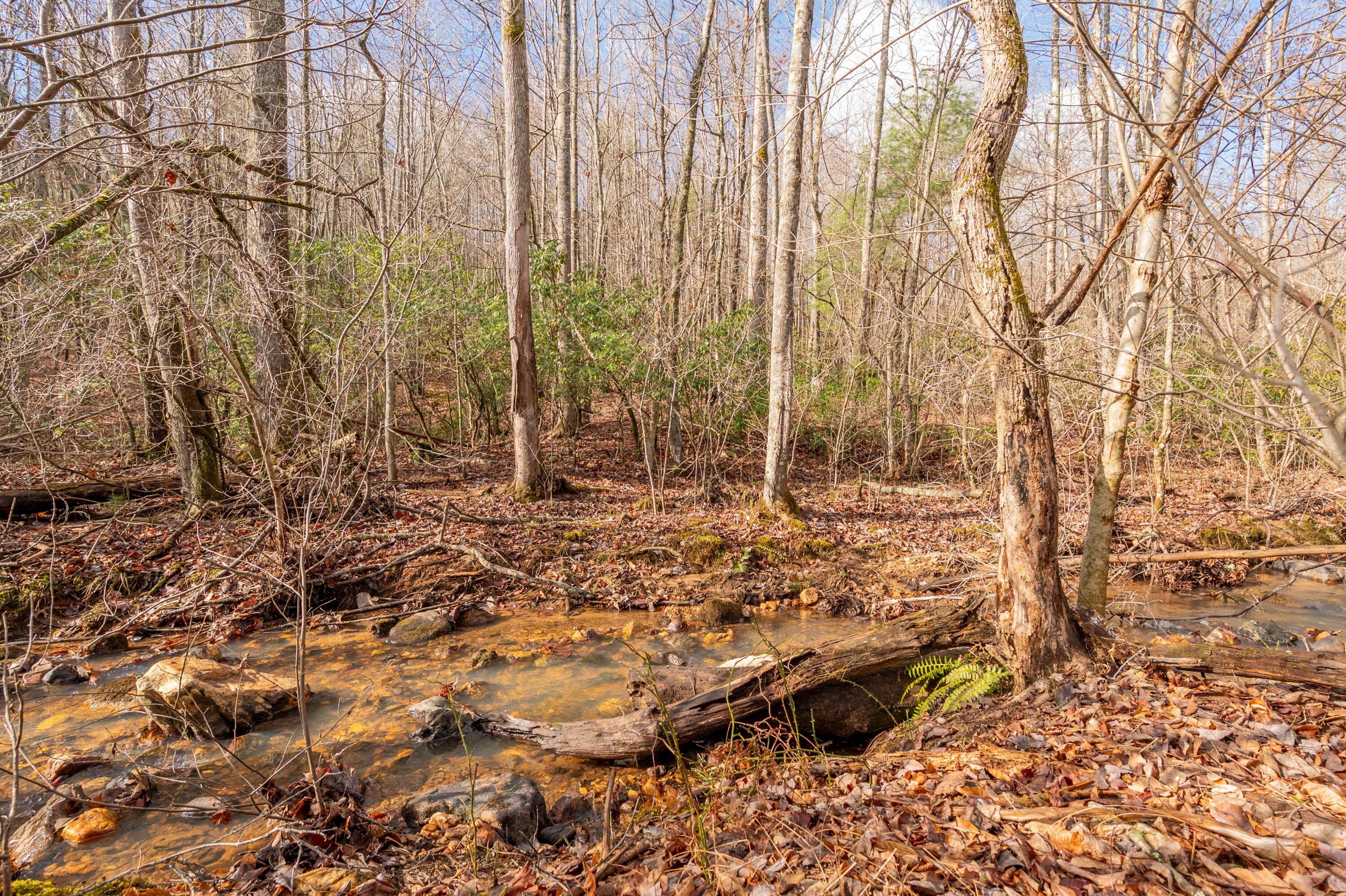 1372 Ahart Ridge Road Ararat, VA 24053 - Photo 28 of 34 28