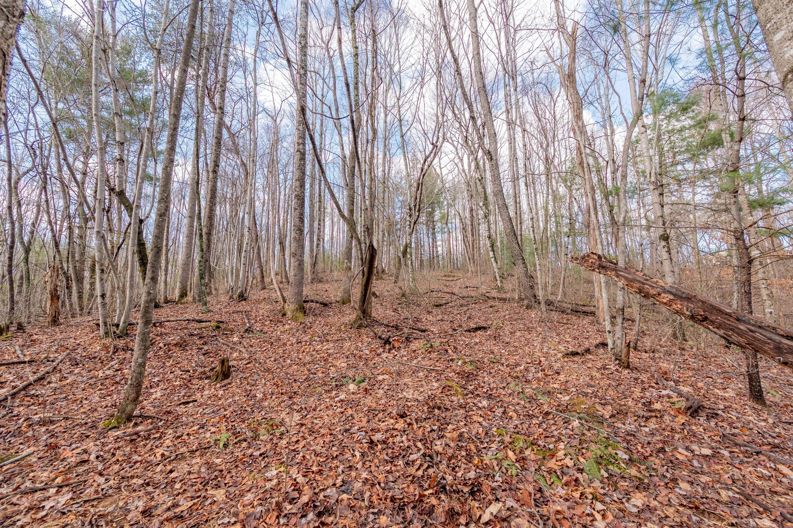 1372 Ahart Ridge Road Ararat, VA 24053 - Photo 33 of 34 33