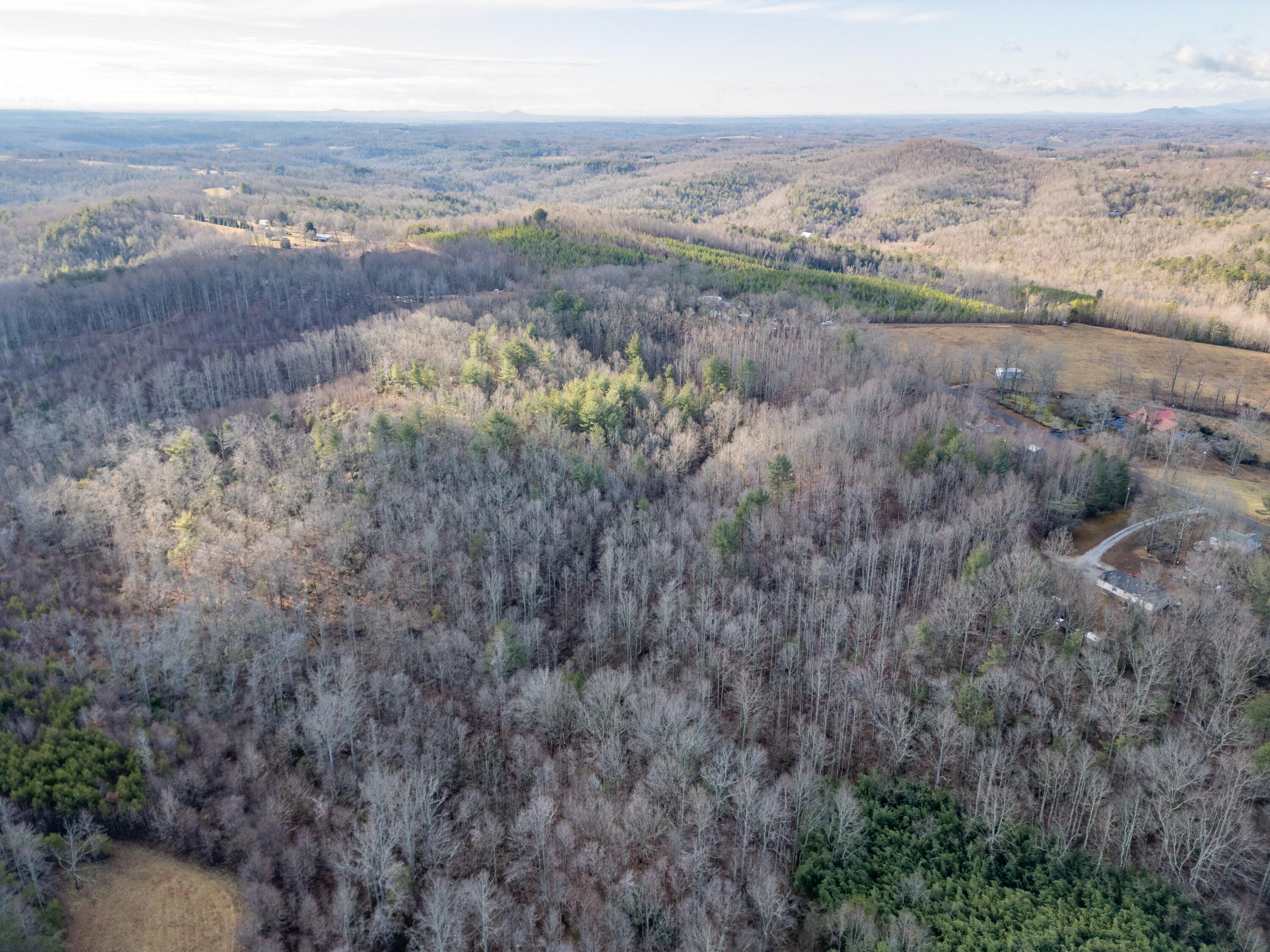 1372 Ahart Ridge Road Ararat, VA 24053 - Photo 9 of 34 9
