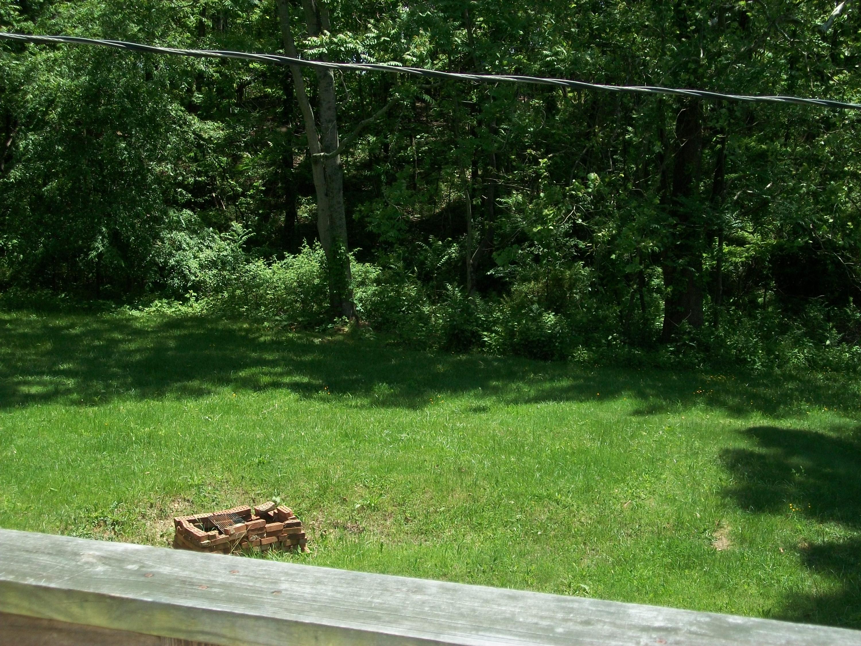 6598 Newport Road Catawba, VA 24070 - Photo 2 of 12 100_2518