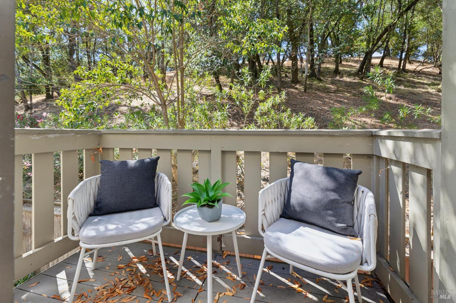 261 Redhawk Road Novato, CA 94949 - Photo 32 of 51 Gallery Image 32