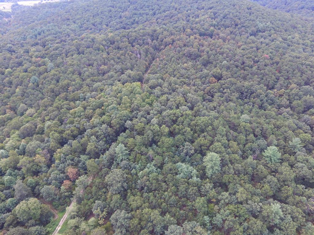 0 Wrangletown Road Shirleysburg, PA 17260 - Photo 21 of 28 Gallery Image 21
