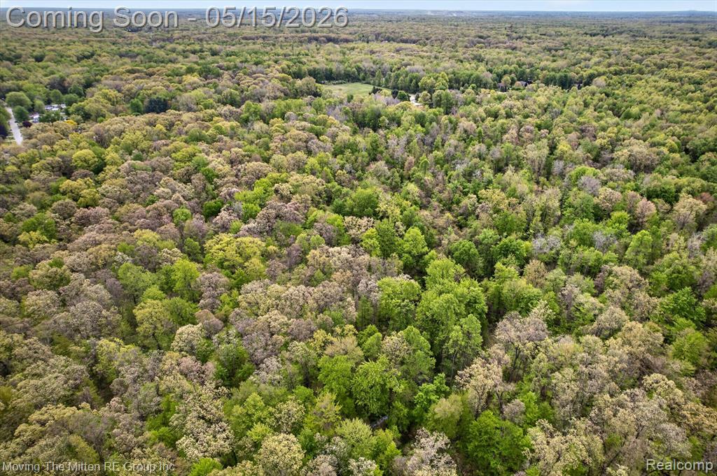 22530 Bohn Road Belleville, MI 48111 - Photo 27 of 28