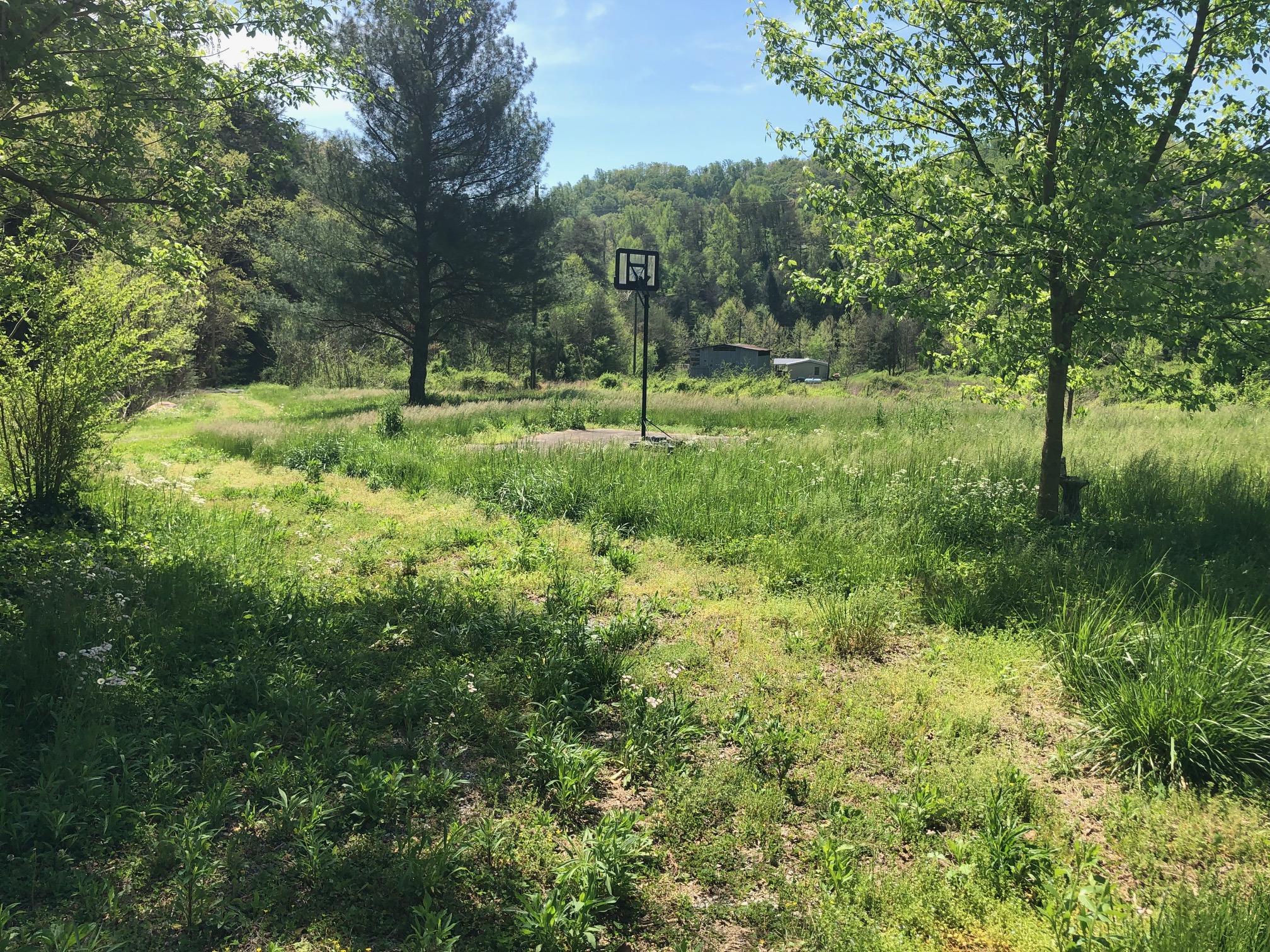 1145 Elvin Branch Road Sevierville, TN 37876 - Photo 1 of 9 IMG_0247