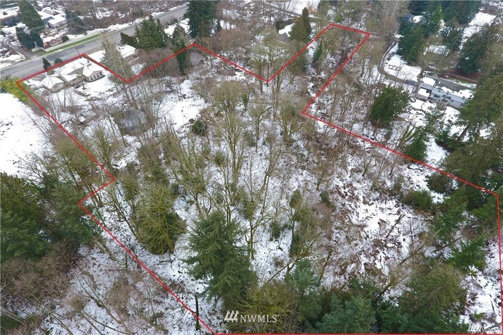 508 228th Street Southeast Bothell, WA 98021 - Photo 20 of 22 a view of tree