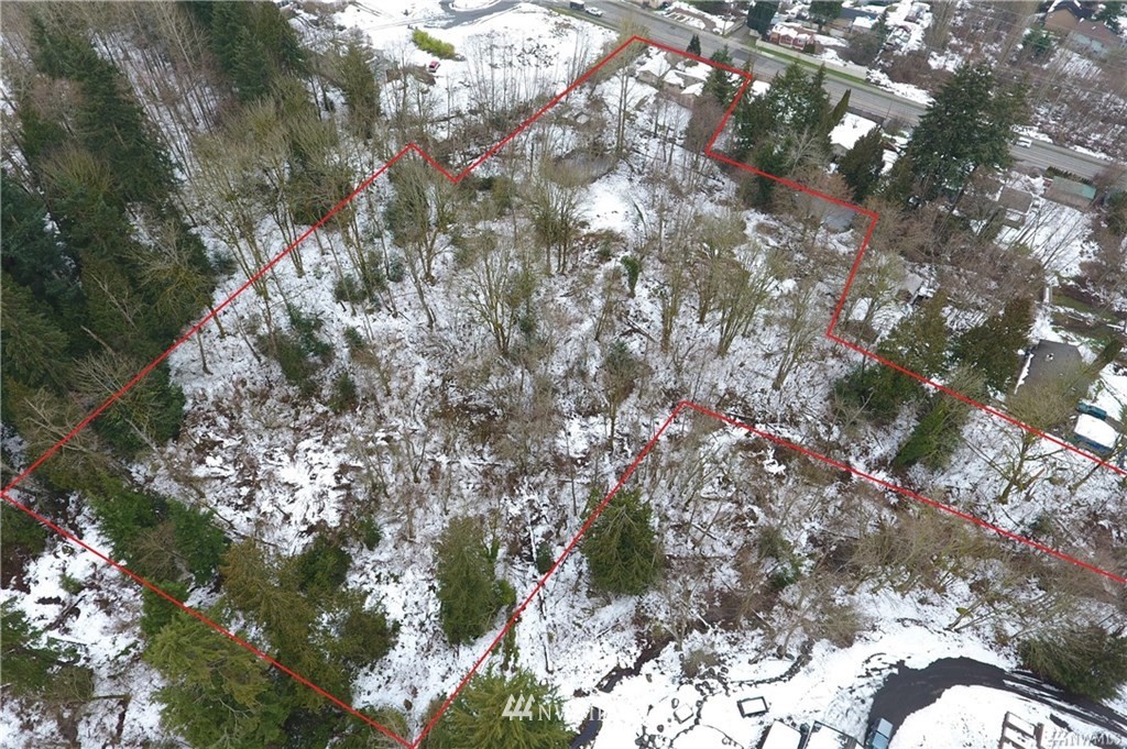 508 228th Street Southeast Bothell, WA 98021 - Photo 21 of 22 a picture of tree