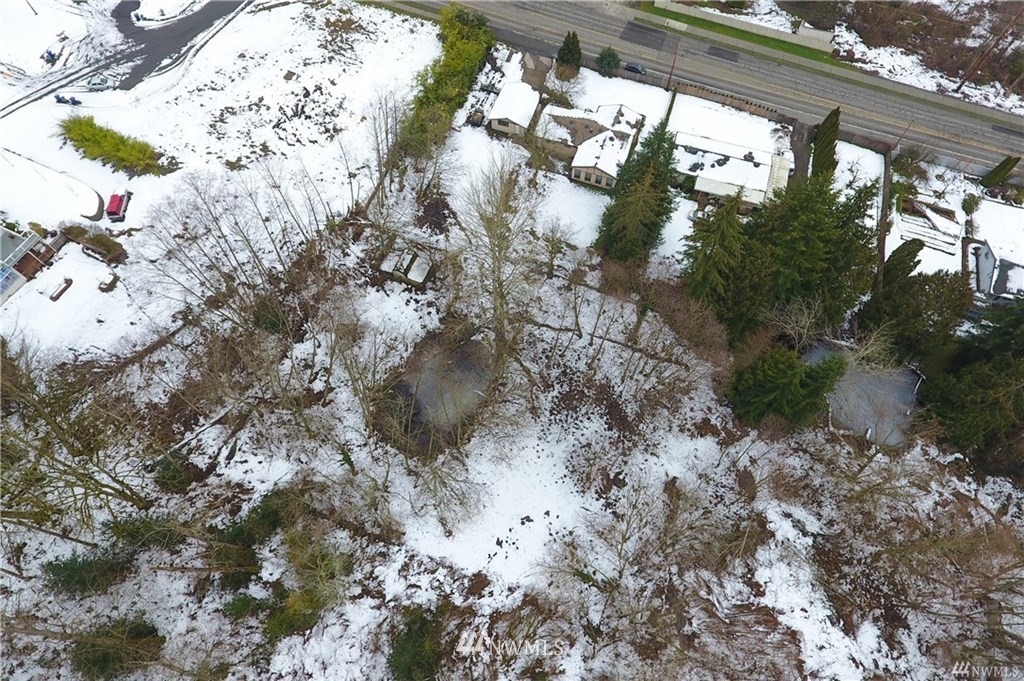 508 228th Street Southeast Bothell, WA 98021 - Photo 22 of 22 a view of a tree in a yard