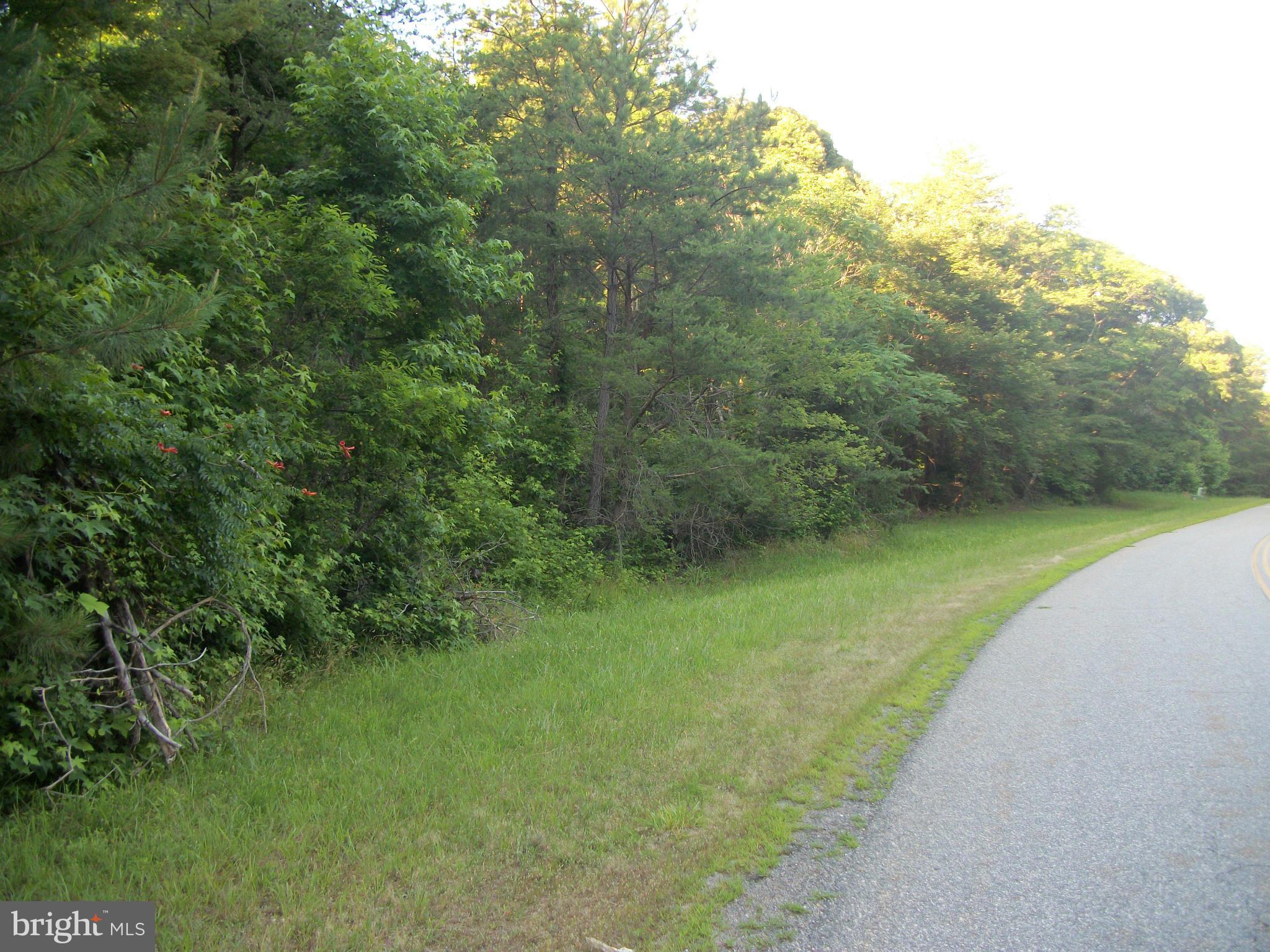 a view of a field with a trees in the background