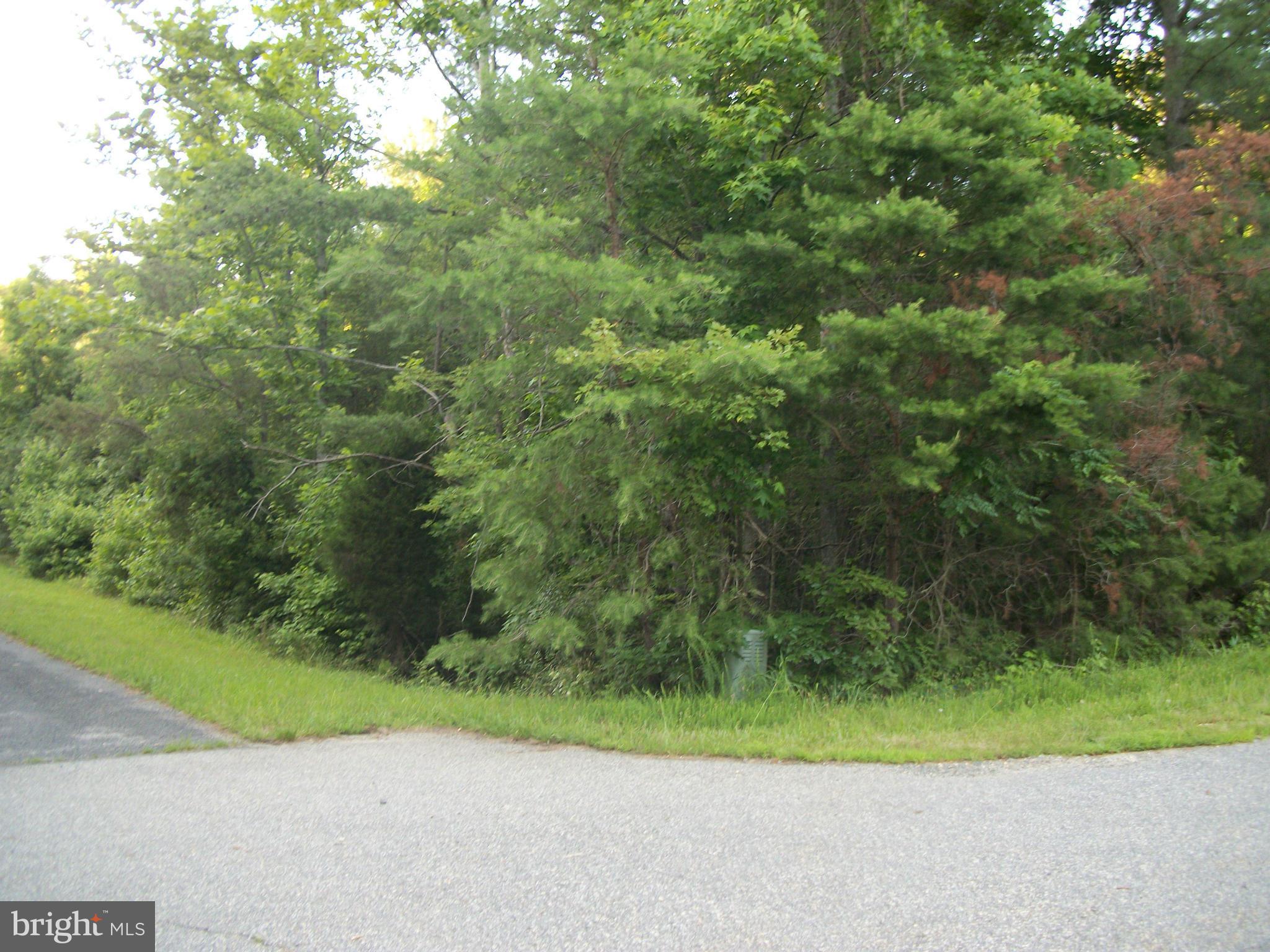 Queens Landing Road Mechanicsville, MD 20659 - Photo 2 of 2 a view of a yard with a trees
