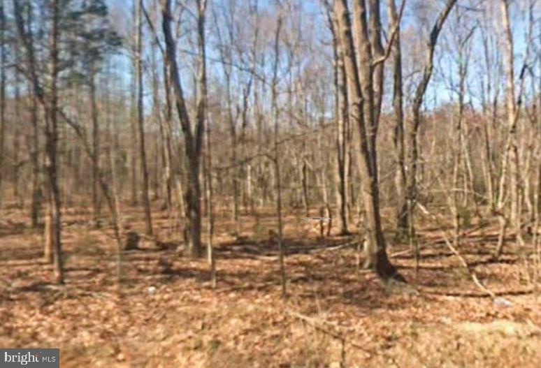 0 Orange Plank Road Locust Grove, VA 22508 - Photo 13 of 14 Gallery Image 13